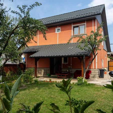 Generous Family Home Vişeu de Sus Exteriér fotografie
