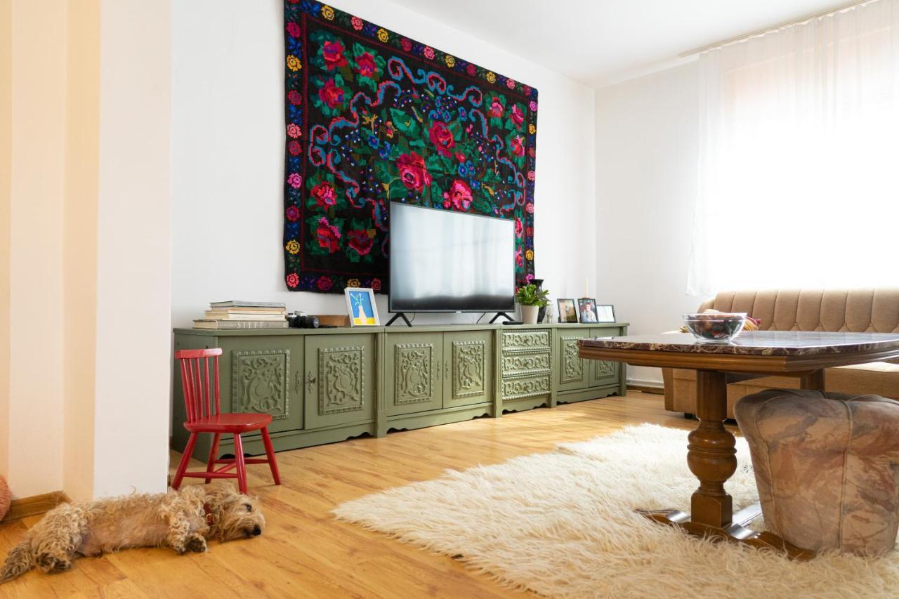 Generous Family Home Vişeu de Sus Exteriér fotografie