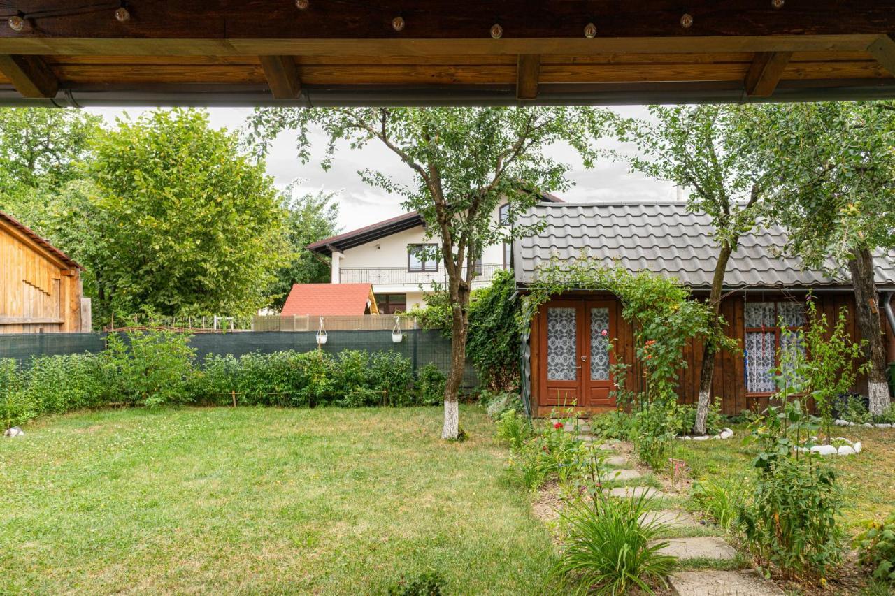Generous Family Home Vişeu de Sus Exteriér fotografie