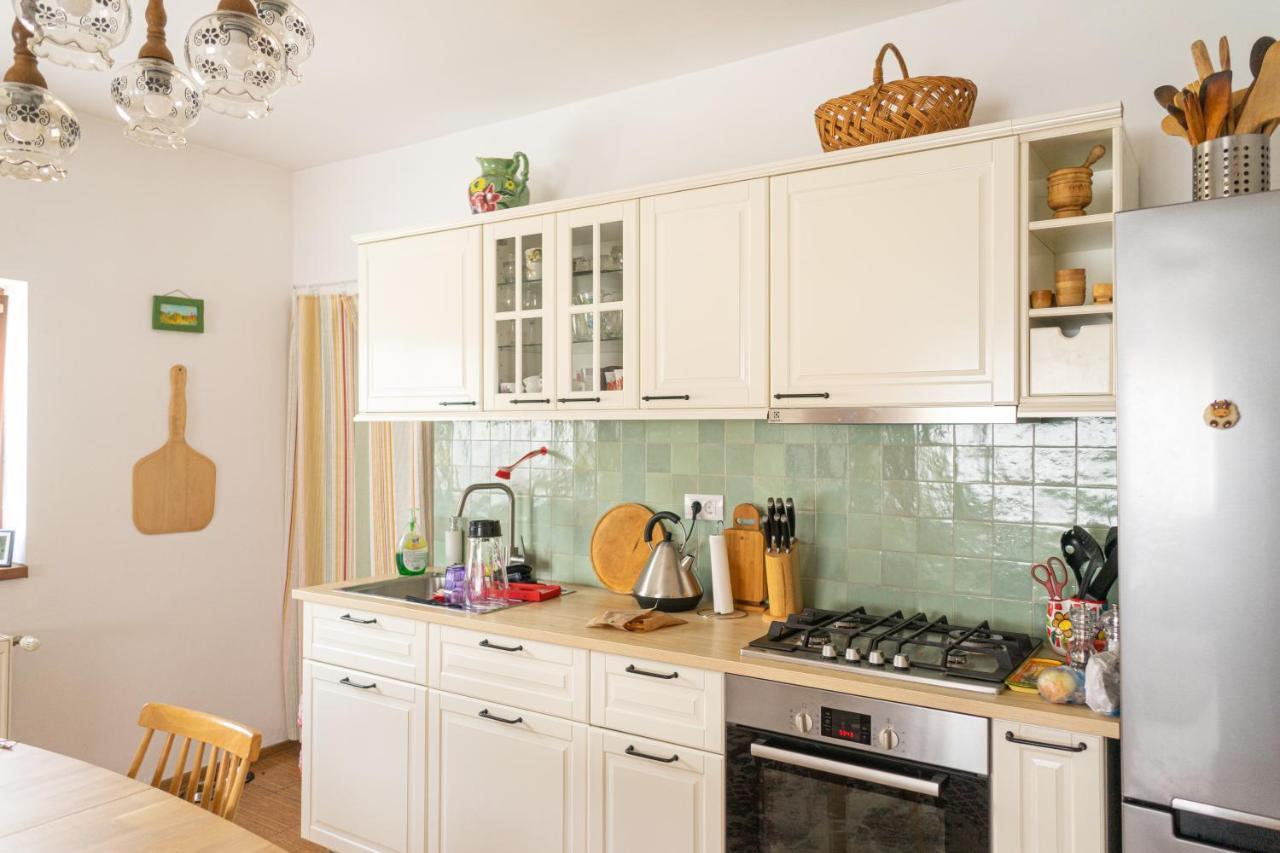 Generous Family Home Vişeu de Sus Exteriér fotografie